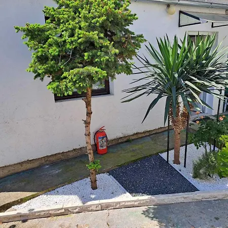 Anja Нови-Сад