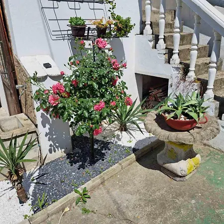 Апартаменты Anja