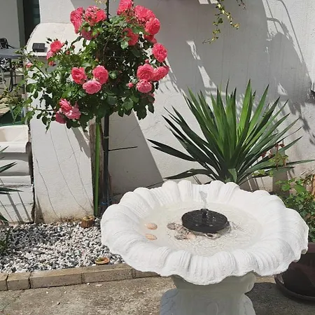 Anja Νόβι Σαντ
